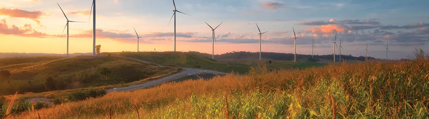 Imagen destacada de servicios ambientales (molinos de viento)