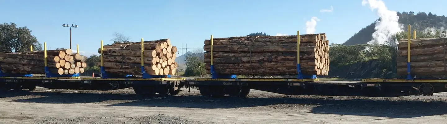  Shipping containers loaded with stacked wood logs, prepared and secured for shipment at a freight yard.