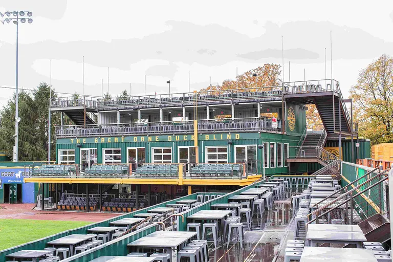 Mallards-10