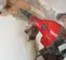 Martillo de demolición, 15 – 19 lb, eléctrico HILTI rojo y negro