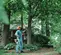 Sierra para poste para podador eléctrico, 7 ft – 11.6 ft STIHL naranja, negra y blanca de alcance, a gasolina