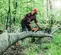 Sierra de cadena, 18 in, a gasolina STIHL gris y naranja