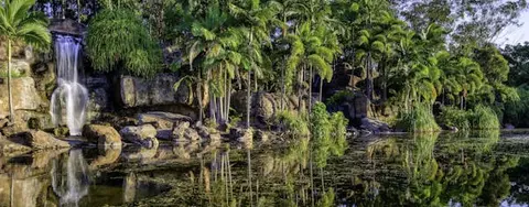 AU QLD MS Rockhampton image