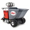 Red and gray Allen Buggy
